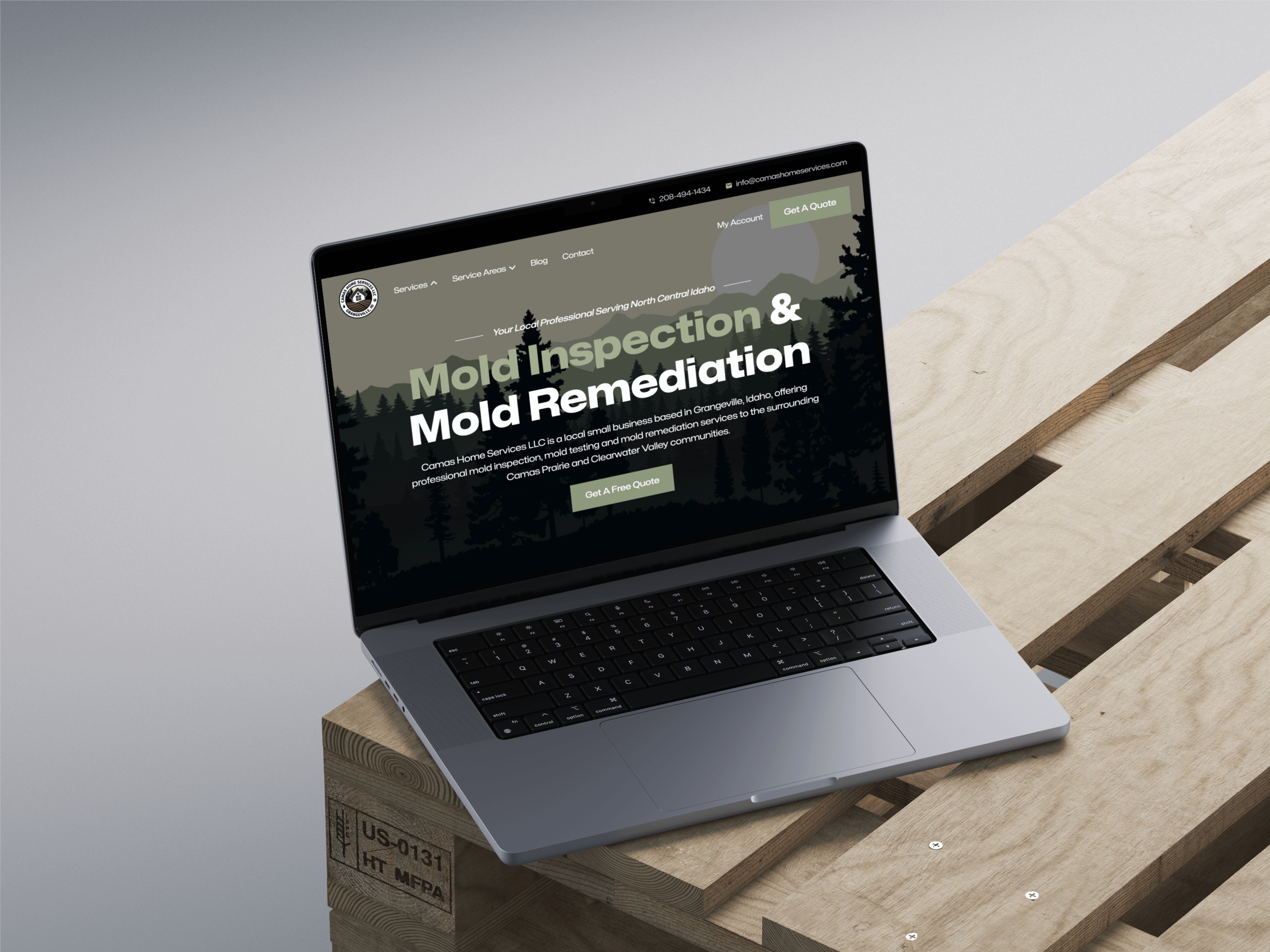 mold removal and home services website